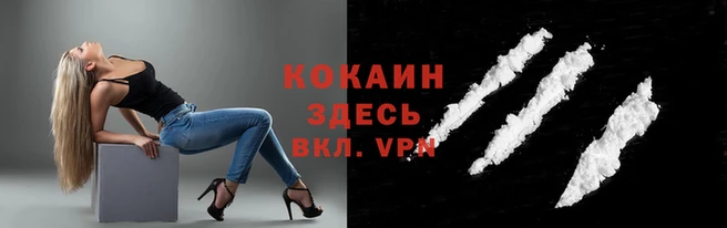 скорость Кукмор